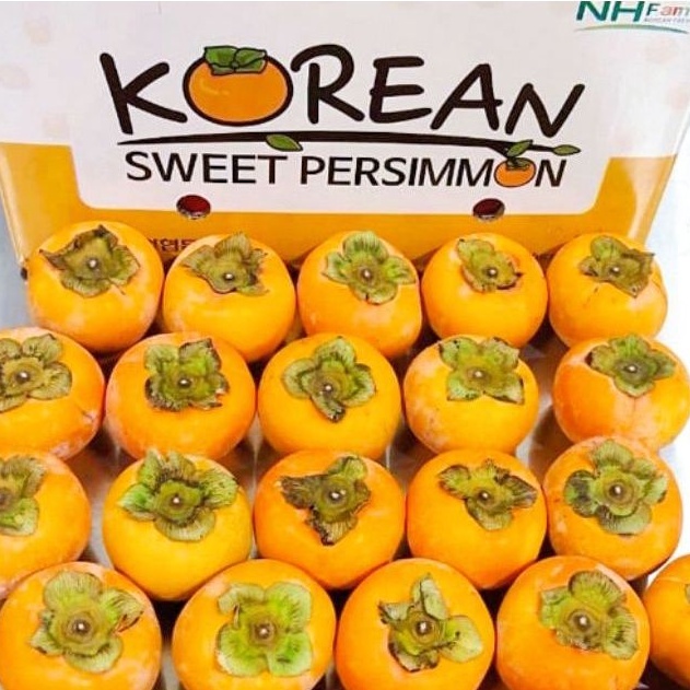 

Buah Persimmon Korea Kesemek Import - Korean Sweet Persimmon