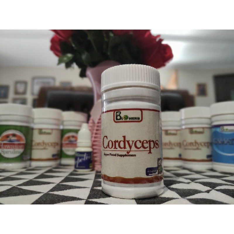 

Cordyceps