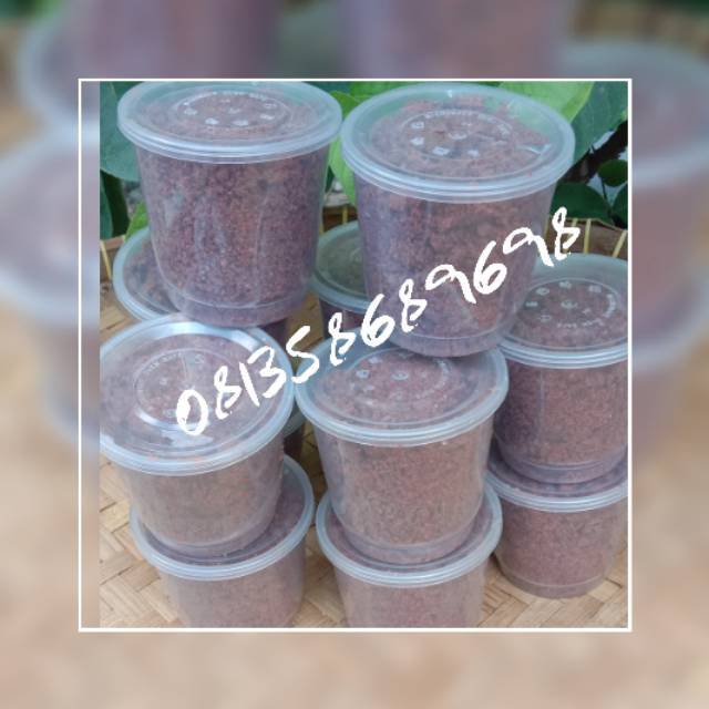 

Terasi udang lakar salwa