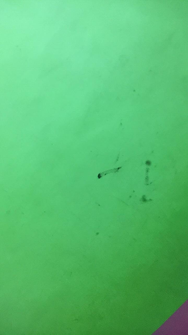 Lemari Plastik Aquose Mini Ssn 4 Plus Kaca