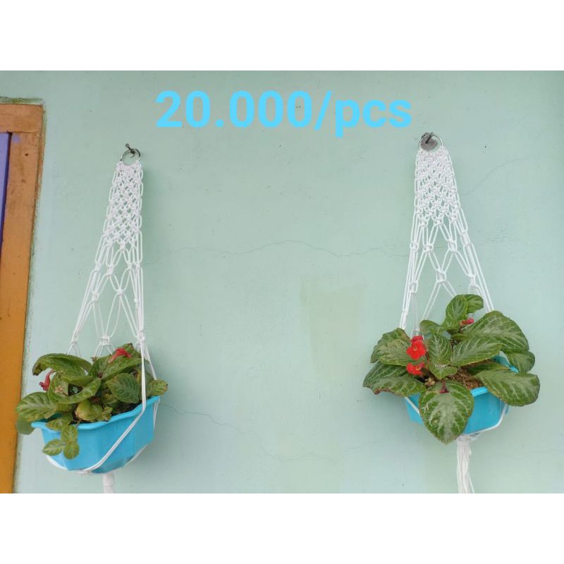 tali pot gantung dari tali kur tempel dinding