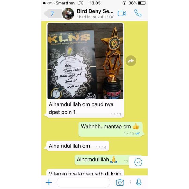 DAILY VIT KONSLET Pakan Harian Lovebird Lomba 850gram/ Milet Herbal Extra Energy & Power Competition-4