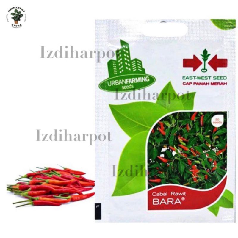 benih bibit cabai rawit bara cap panah merah - CABAI RAWIT BARA
