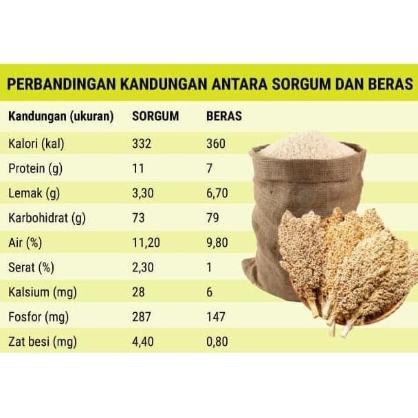 

SHORGUM BERAS MERAH 1000GRAM BERAS MERAH 1KG