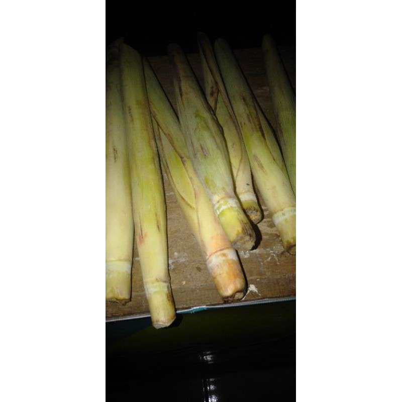

trubuk/trubus makanan untuk di sayur
