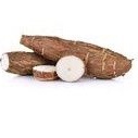 

SINGKONG PULEN TERMURAH