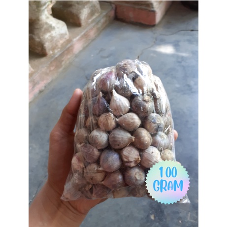 

Bawang Putih Tunggal Bawang Tunggal Bawang Lanang Tunggal Bawang Tunggal Lanang 100 Gram