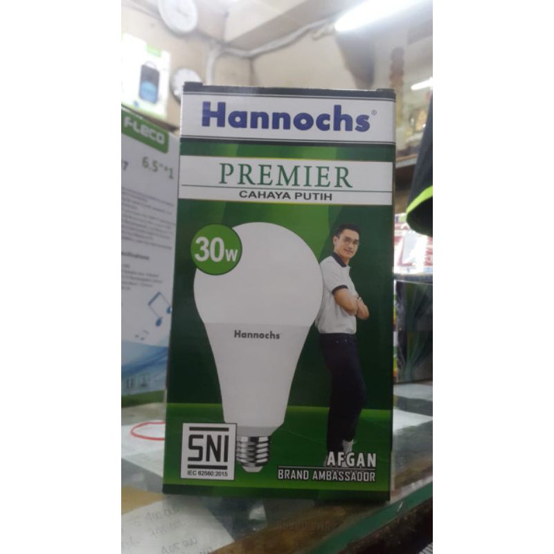 lampu bohlam hannochs led premier 30 watt