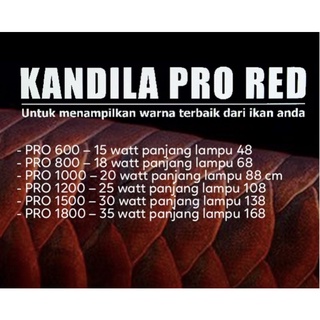 Jual LAMPU LED VIEW KANDILA PRO RED AQUARIUM IKAN AROWANA / ARWANA