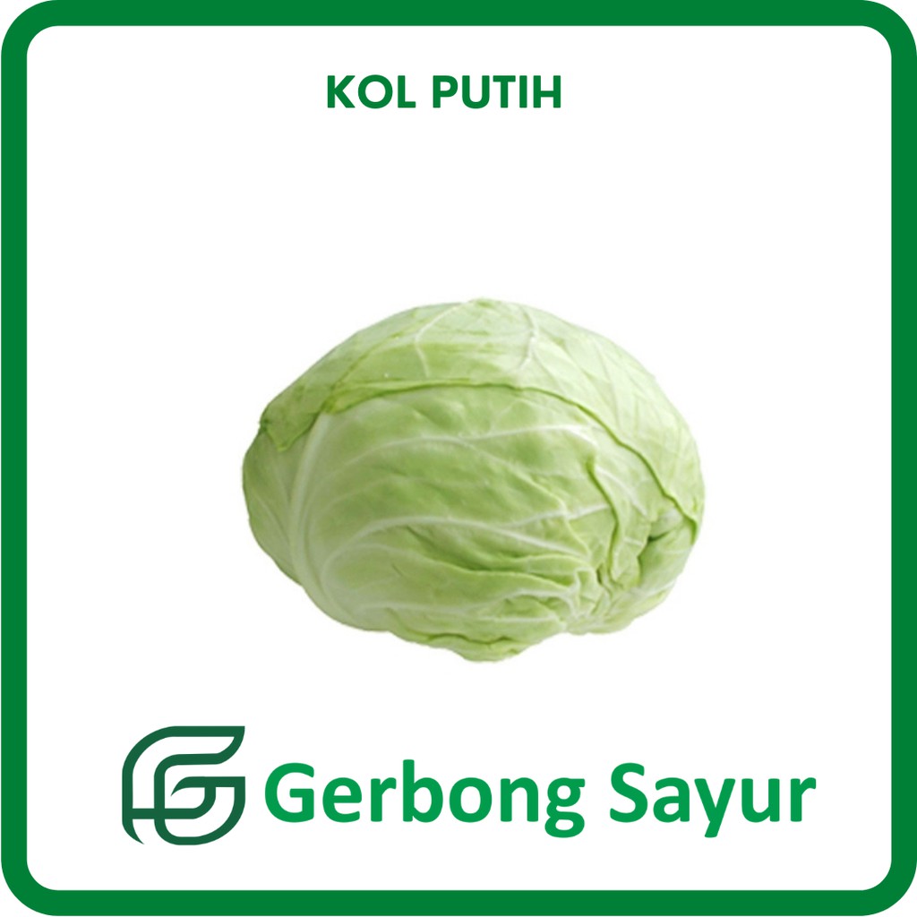 

Sayur Kubis Kol Putih Segar - 500g