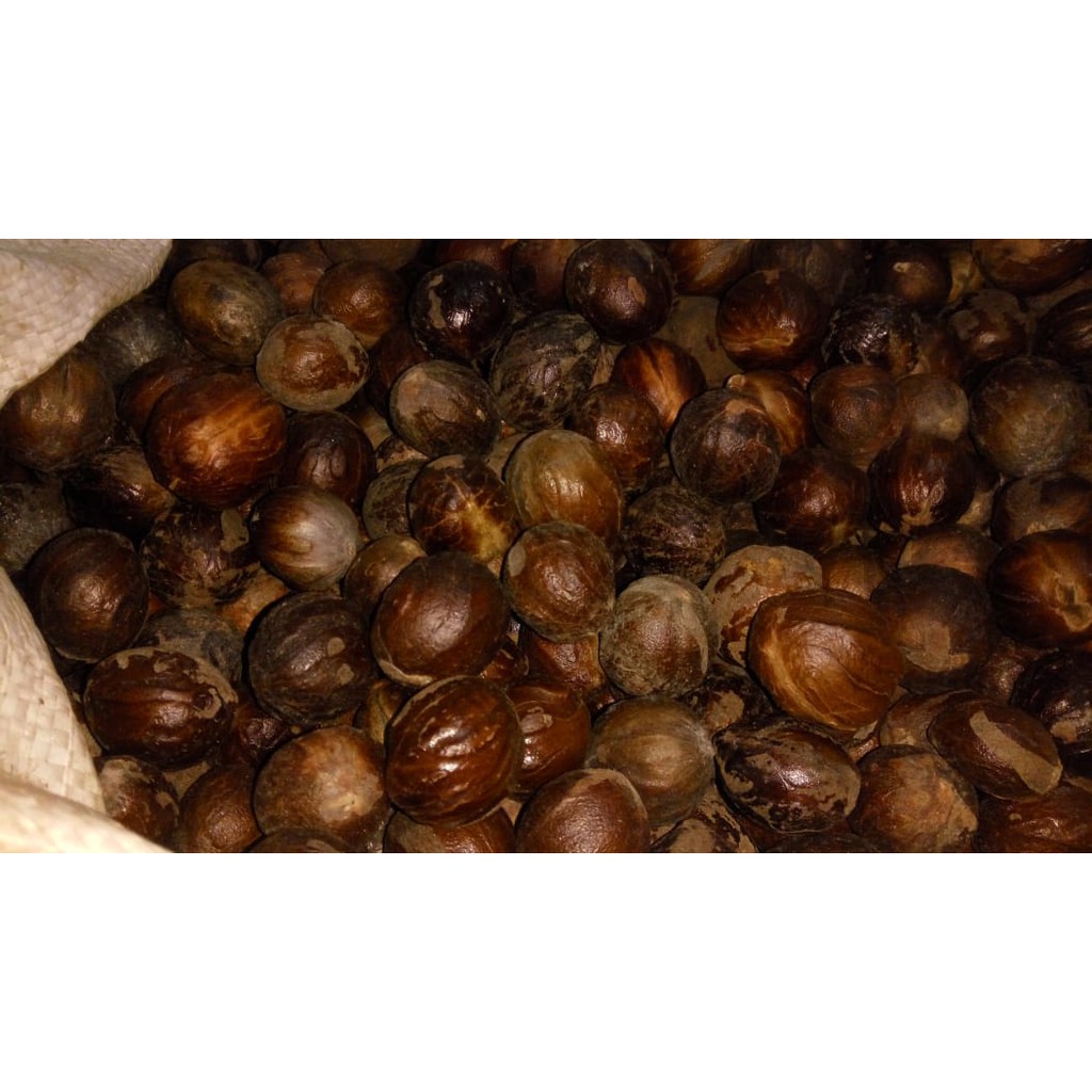 

Biji Pala Utuh 100gram 100% Dijamin Asli