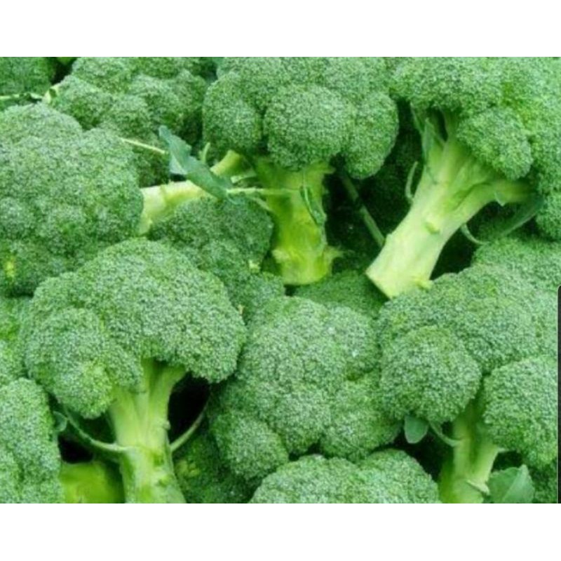 

Brokoli 500 gram Pasar Segar Depok