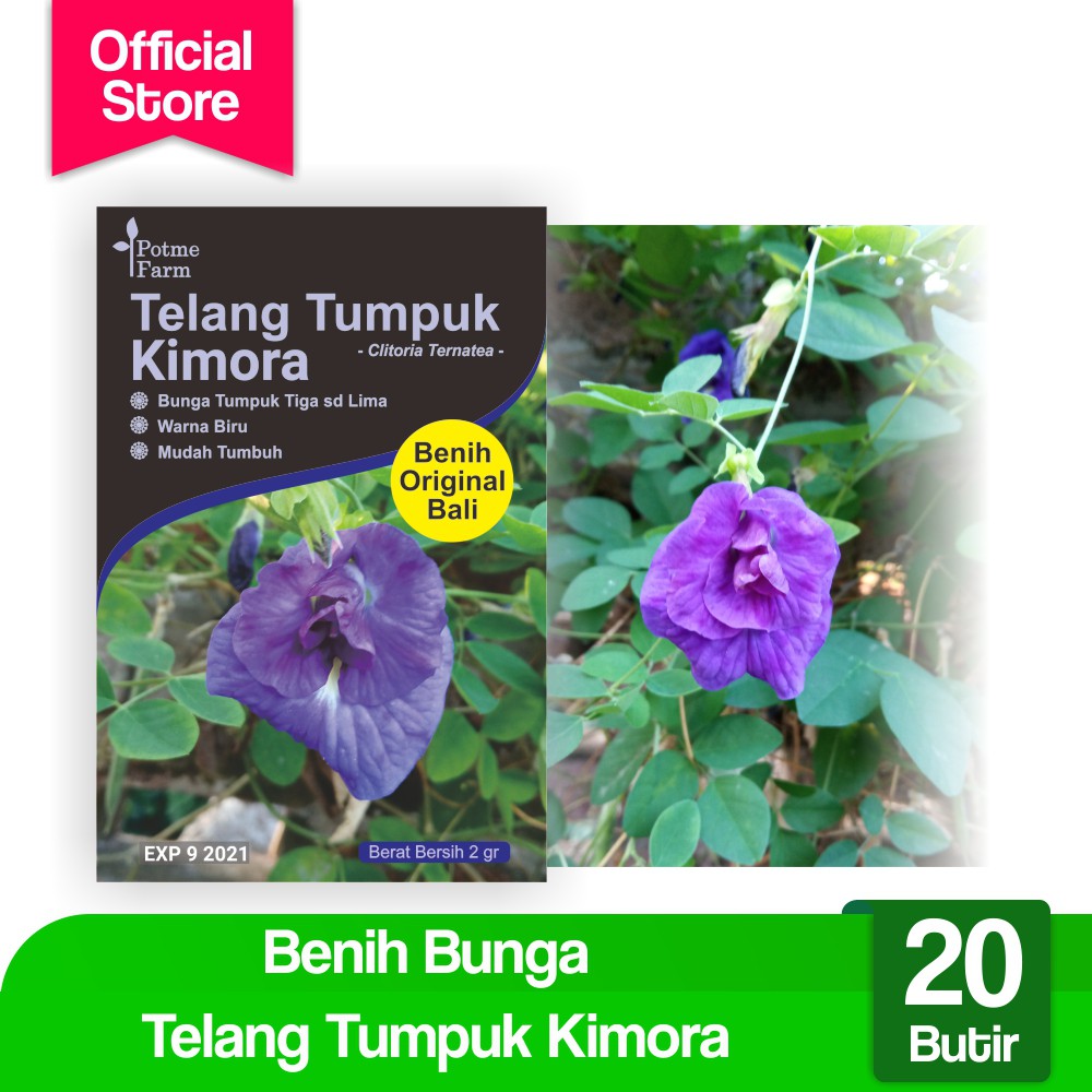 

Benih Bunga Telang Biru Tumpuk Kimora (Potme Farm)