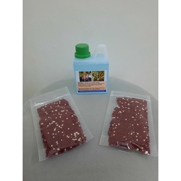 Perangsang tunas + pupuk Sr (paket)