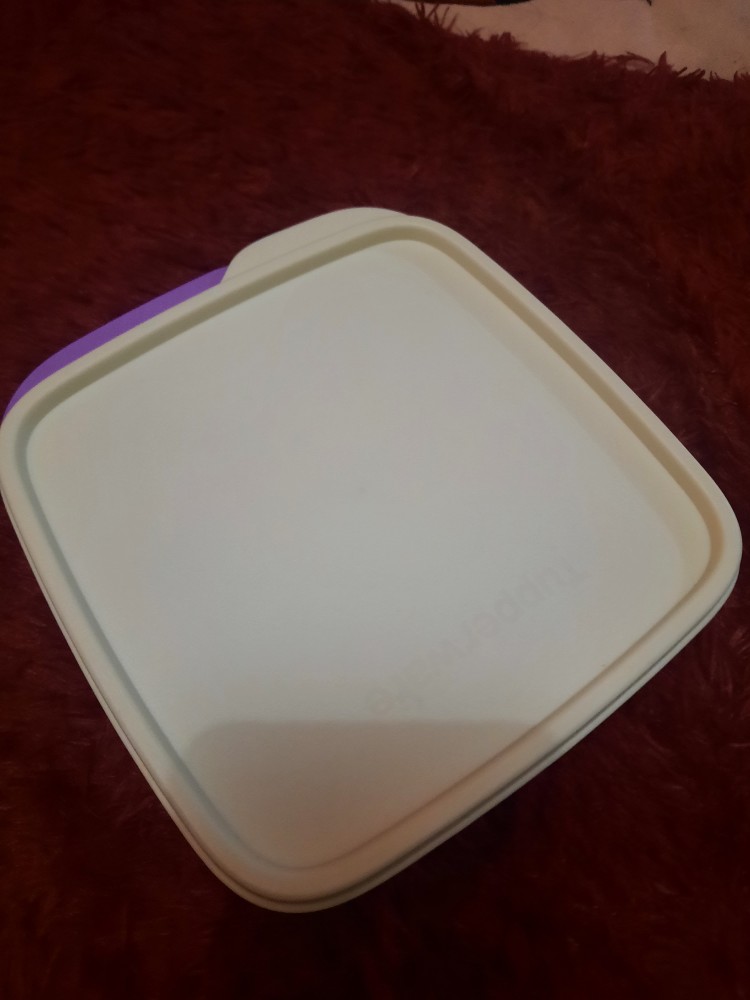 Tupper  Ware  Lolly Tup