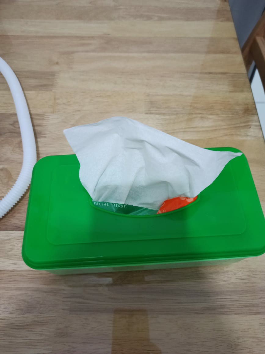 Kotak Tisu/ Wadah Tisu/ Tempat Tisu Plastik Golden Hen Tts-621