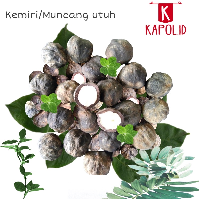 buah kemiri utuh 1kg
