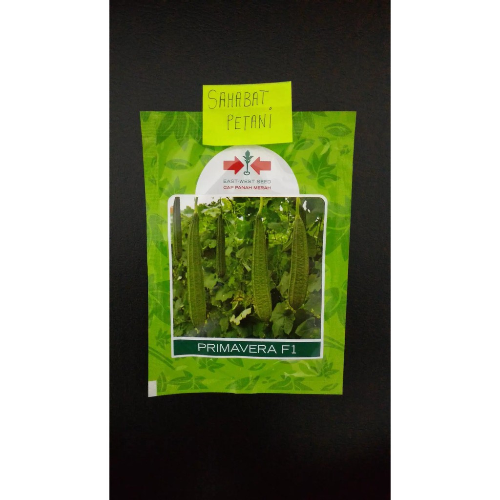 Benih Oyong / Gambas Tahan Virus Primavera 10 Gram 75 Butir