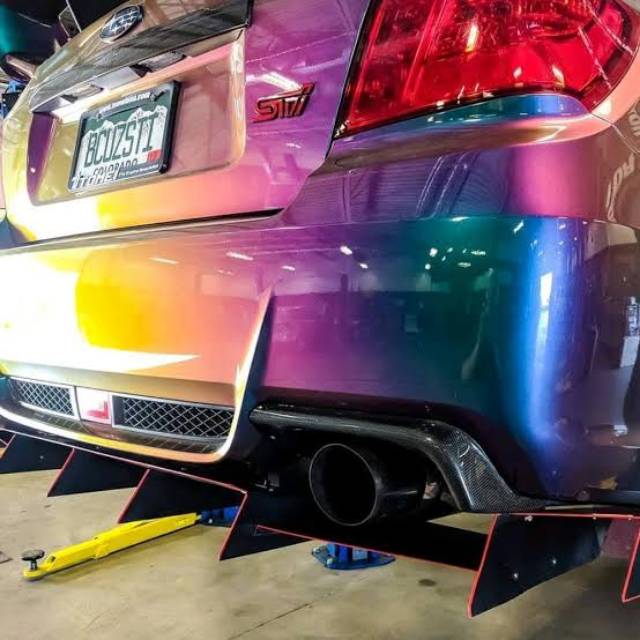 Cat bunglon chameleon