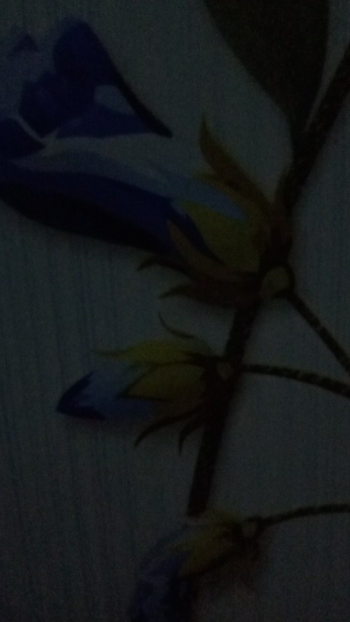 Paket Usaha Dagang Ball Import Atasan & Dress/tunik Campuran 100 Pcs