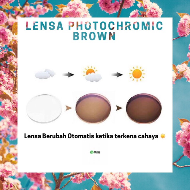 PEMBUATAN LENSA PHOCHROMIC BROWNE, Lensa berubah warna coklat otomatis