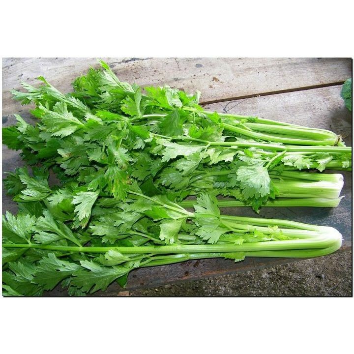

Daun Seledri