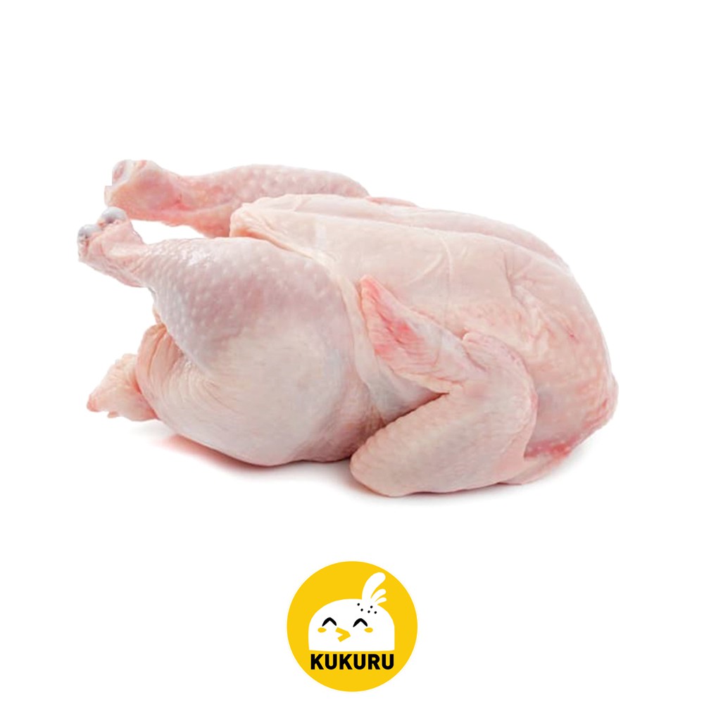 

AYAM BROILER / AYAM POTONG / KARKAS / WHOLE CHICKEN (FRESHLY FROZEN)