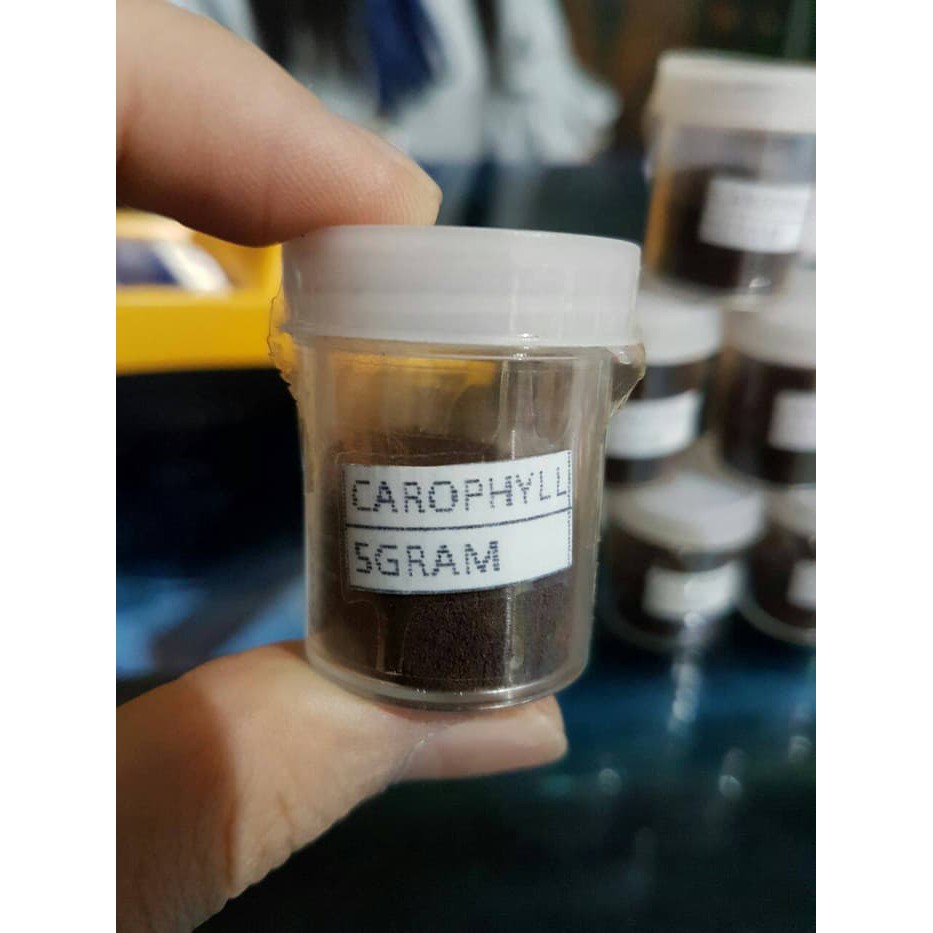 

CAROPHYLL / CAROFIL RED 5GR doping warna ikan