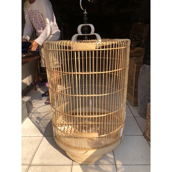 Murai rafi jaya mentah no.2