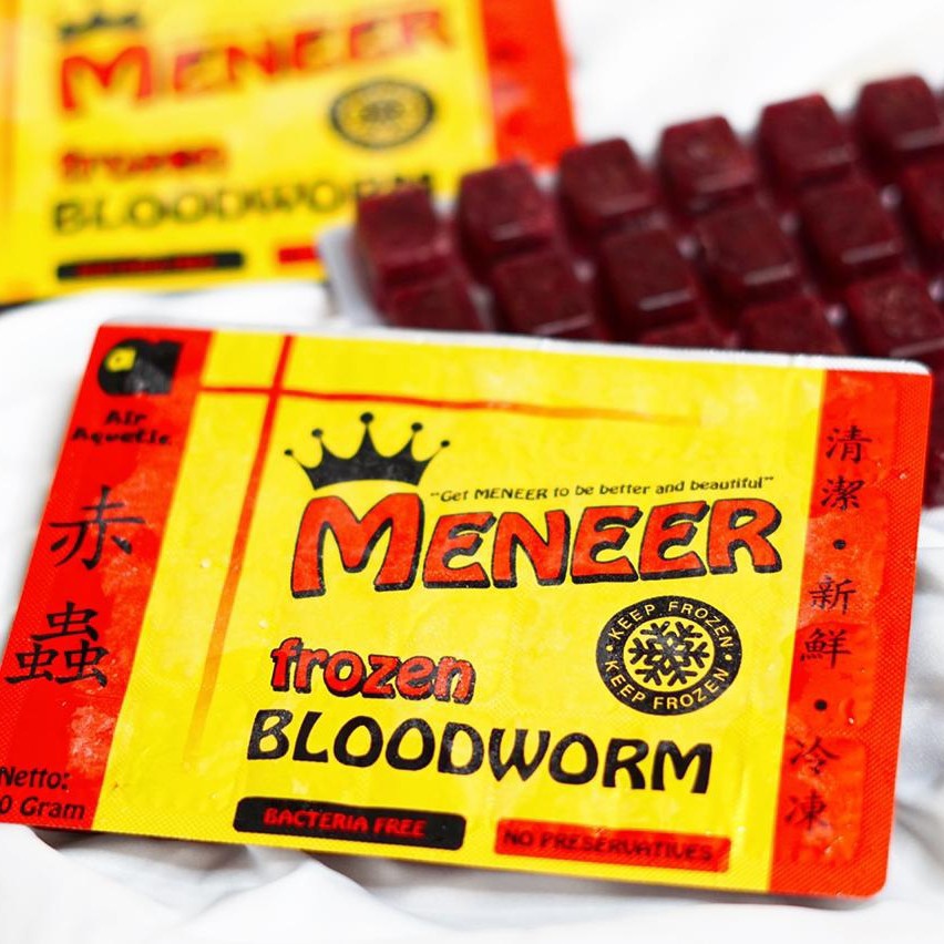 Cacing Meneer Bloodworm Cabek Cacing Beku 100gram