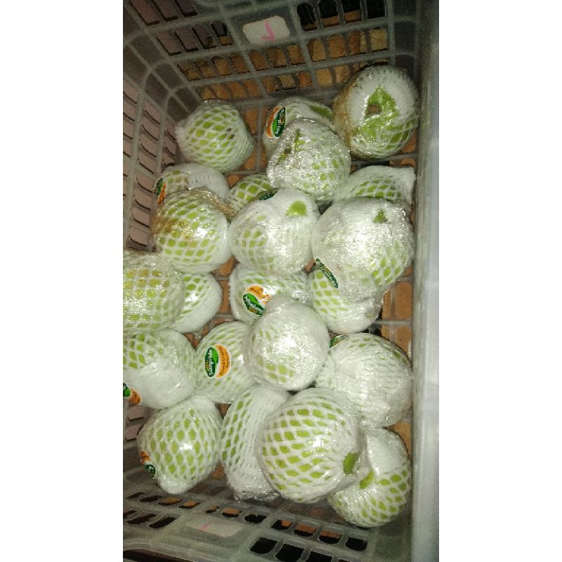 

jambu kristal Sunpride