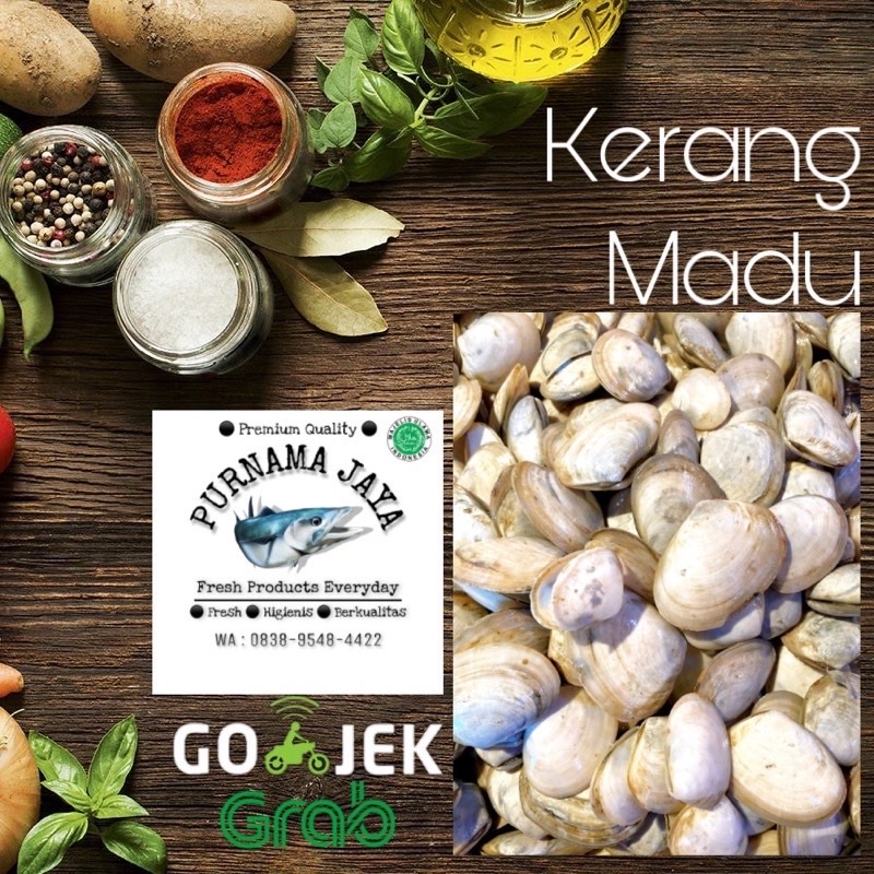 

kerang madu fresh bandung purnamajaya