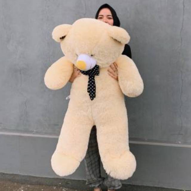 1.2 m teddy bear