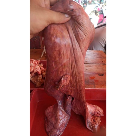 

paru sapi 1 kg