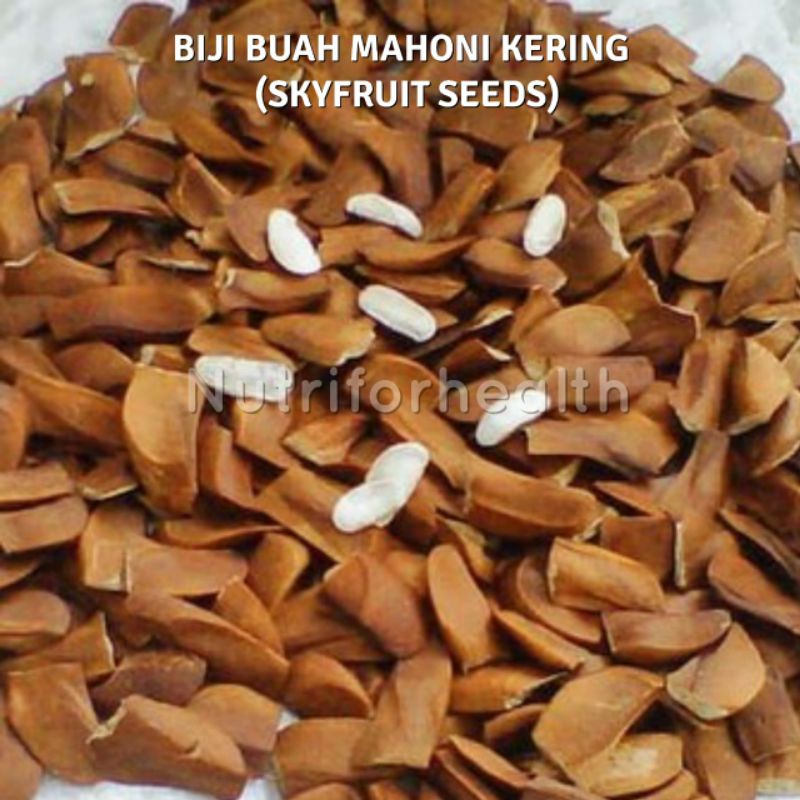 (50gr) Biji Buah Mahoni Kering Skyfruit Seeds Xiang Tian Guo