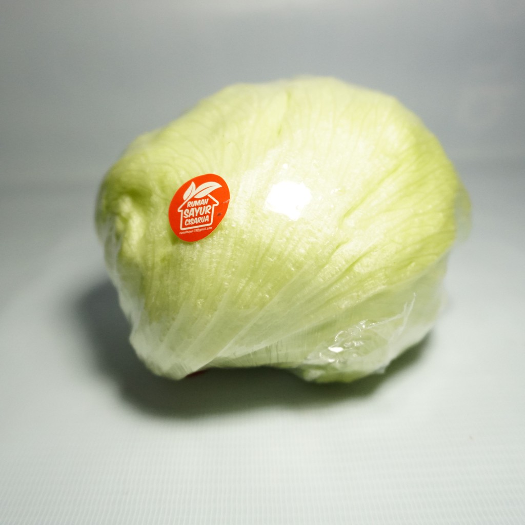 

Letuce Head (250Gr)