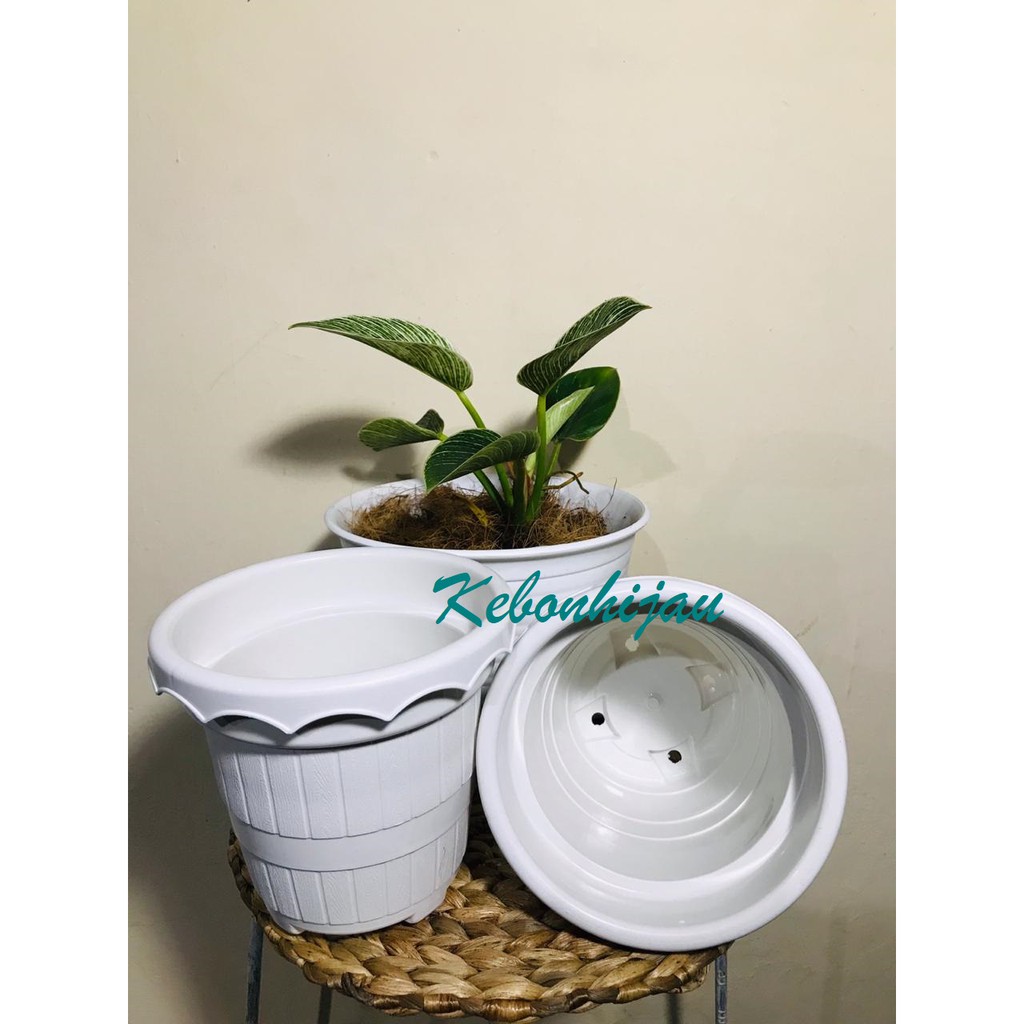 Pot Bunga Nursery / Pot Bunga Nursery Taiwan / Grosir Pot / Pot Murah / PBR 001