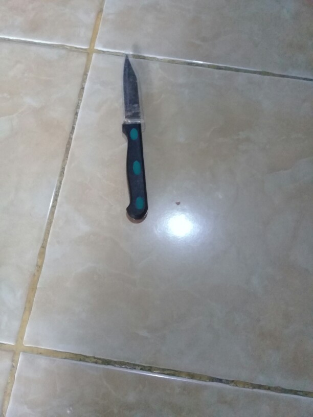 Pisau Dapur - Pisau Buah Tajam Bisa Di Asah Panjang 18 Cm Ideal Id101