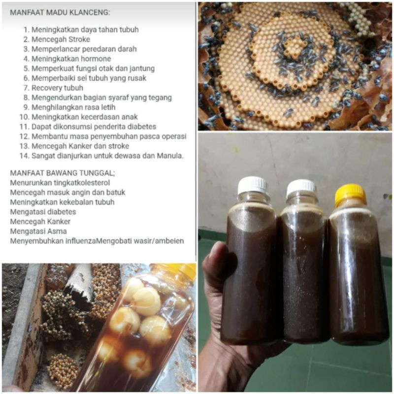 

Madu Lebah Klanceng Asli