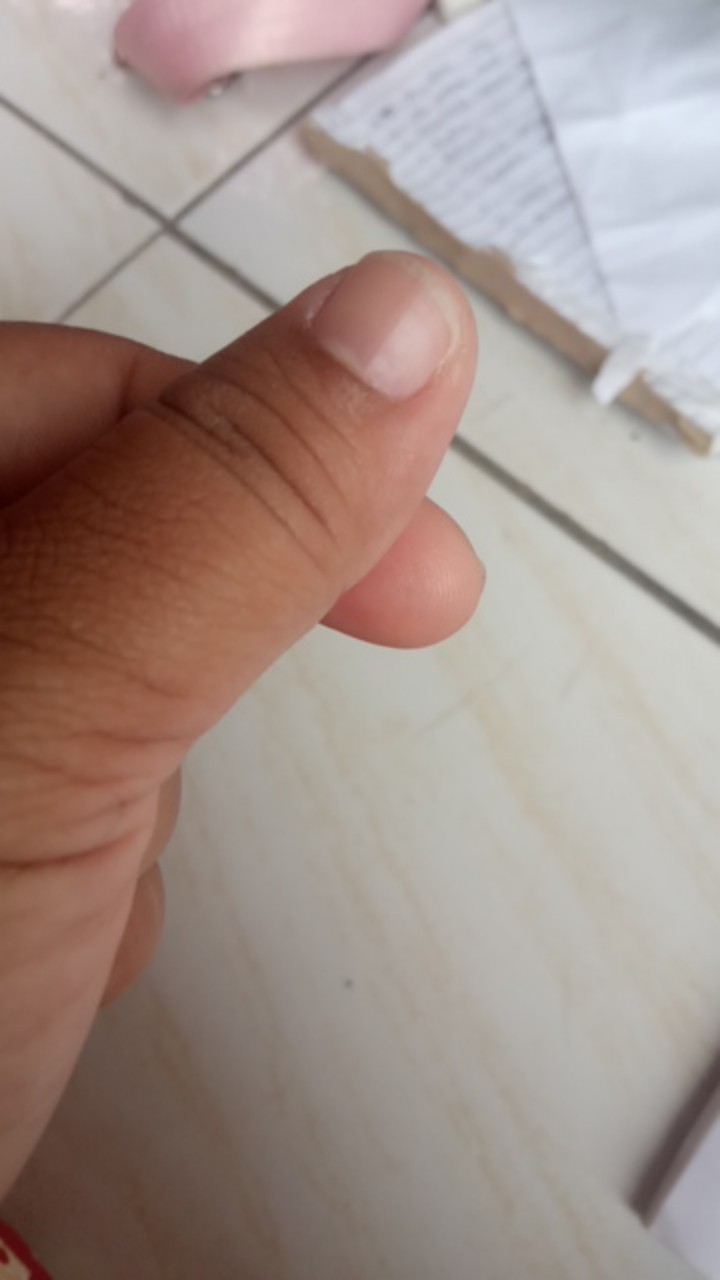 Panci Kukus Tri J Mini 4 Ear Steam Pan Stainless Stell Anti Karat