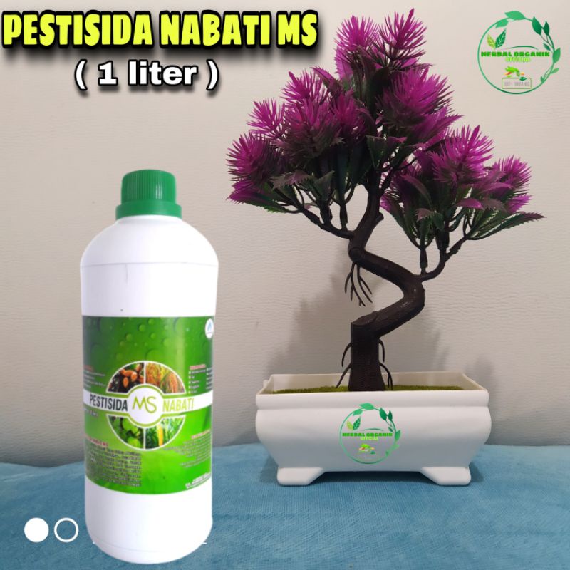pestisida nabati MS obat hama pengendali serangan hama pertama  bisa untuk mengusir tikus danburung
