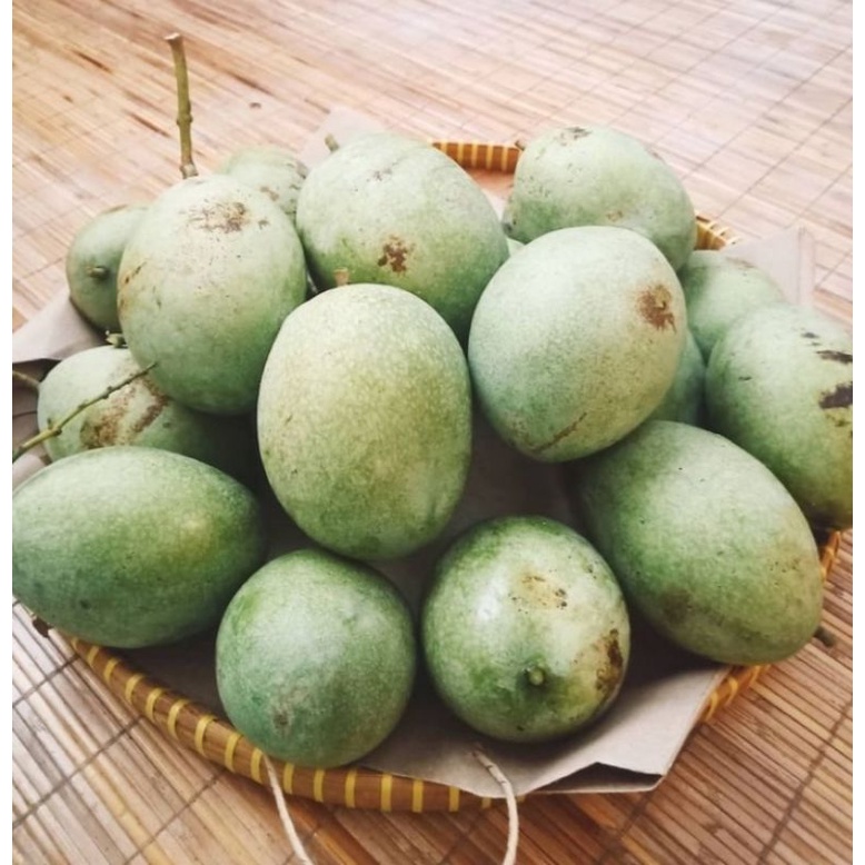 

buah mangga madu manalagi [1kg]