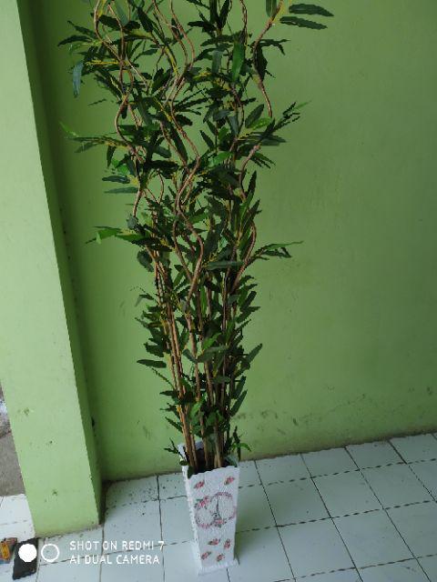 1 Btg Bambu Ulir Polos Natural 200cm (min Order 15 Btg Bisa Mix)