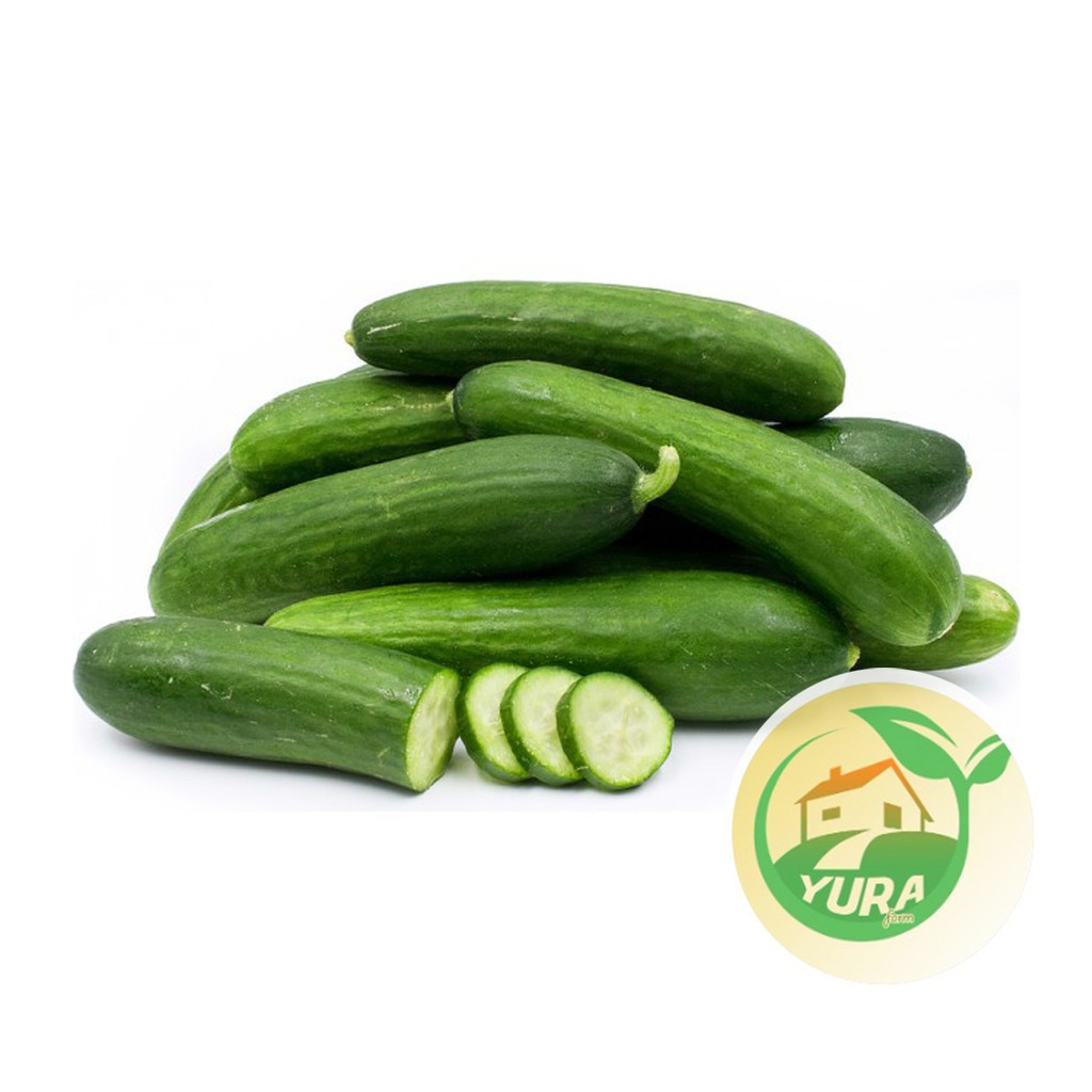 

KYURI JEPANG Organik 100% Sayur Segar Organic
