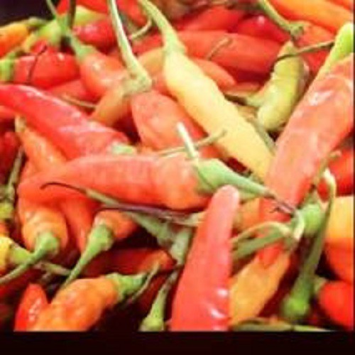 

CABE RAWIT MERAH