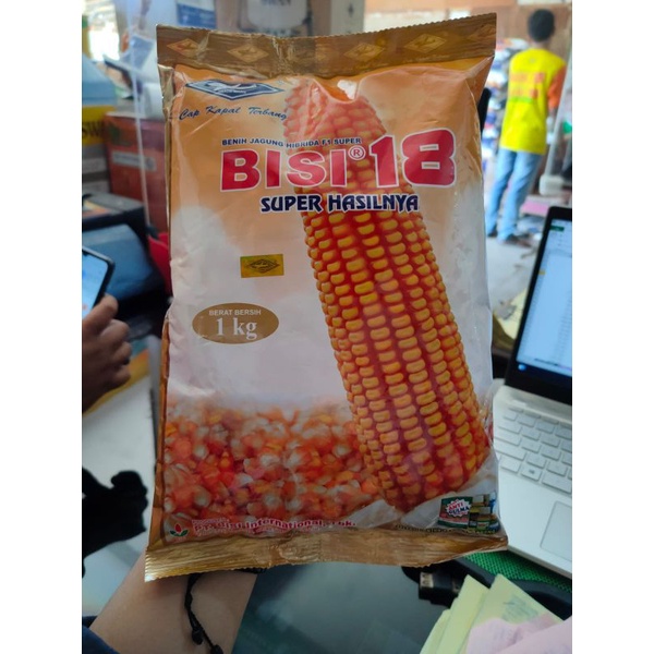 

Bisi 18,bibit jagung hibrida STOK TERBATAS !!!