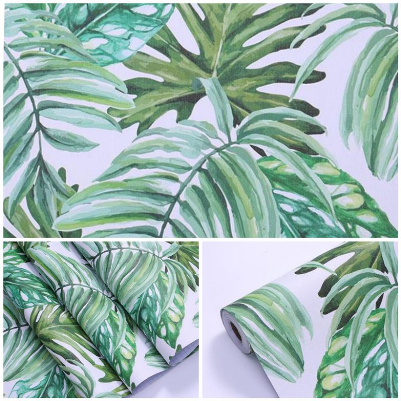 Wallpaper  Dinding Daun Hijau Mewah