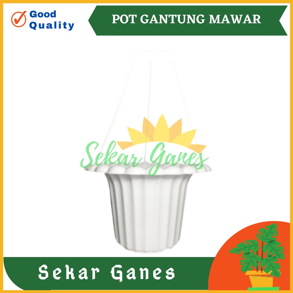 POT GANTUNG MAWAR PARIS 20 CM PUTIH - POT GANTUNG HIAS BUNGA LILI PARIS PEPEROMIA GERANIUM MURAH