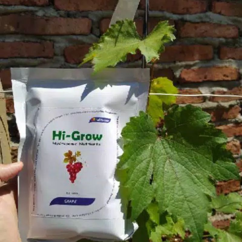 PROMO PUPUK AB Mix Khusus Anggur Pupuk &amp; Nutrisi Hi-Grow Pekatan 1ltr