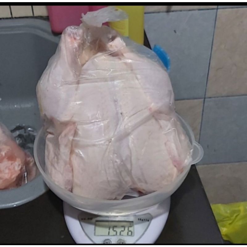 

Ayam Broiler Karkas Frozen Utuh 1,5 kg - 1,6 kg / 1.500 gram - 1.600 gram / 1.5 - 1.6 / 1,5 - 1,6